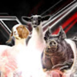 Meet your Posher, Madelyn